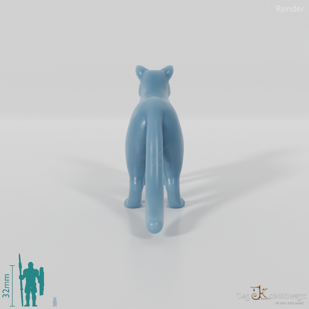 Cat - domestic cat 01