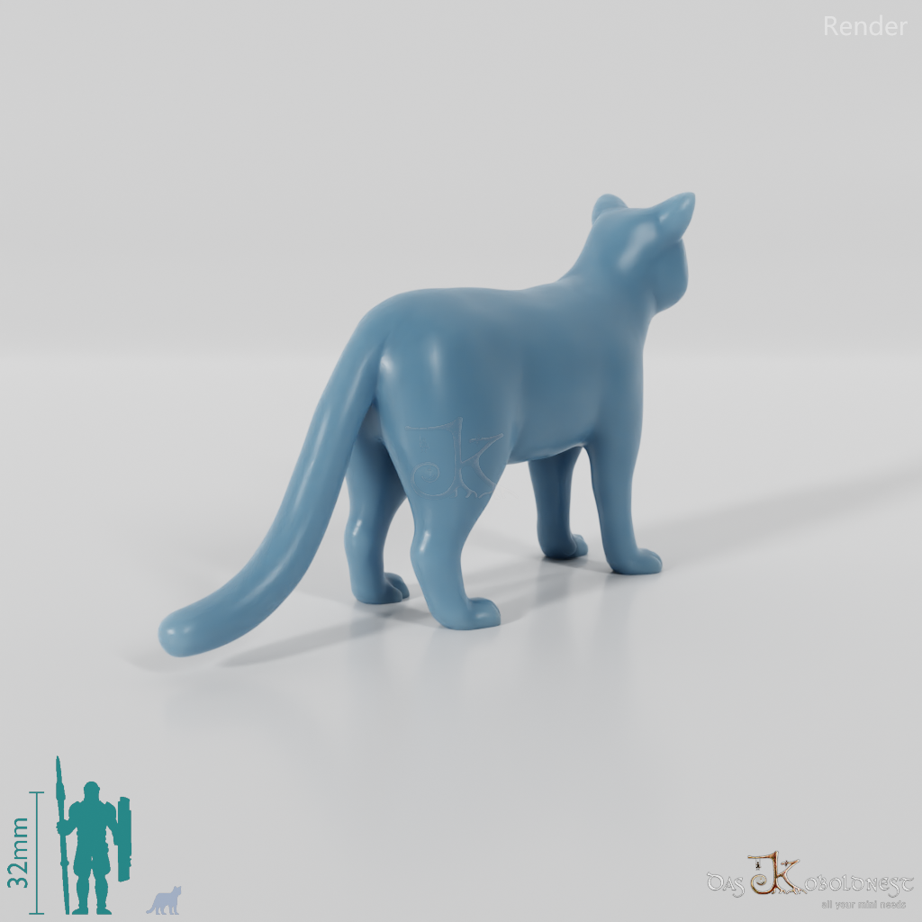 Cat - domestic cat 01