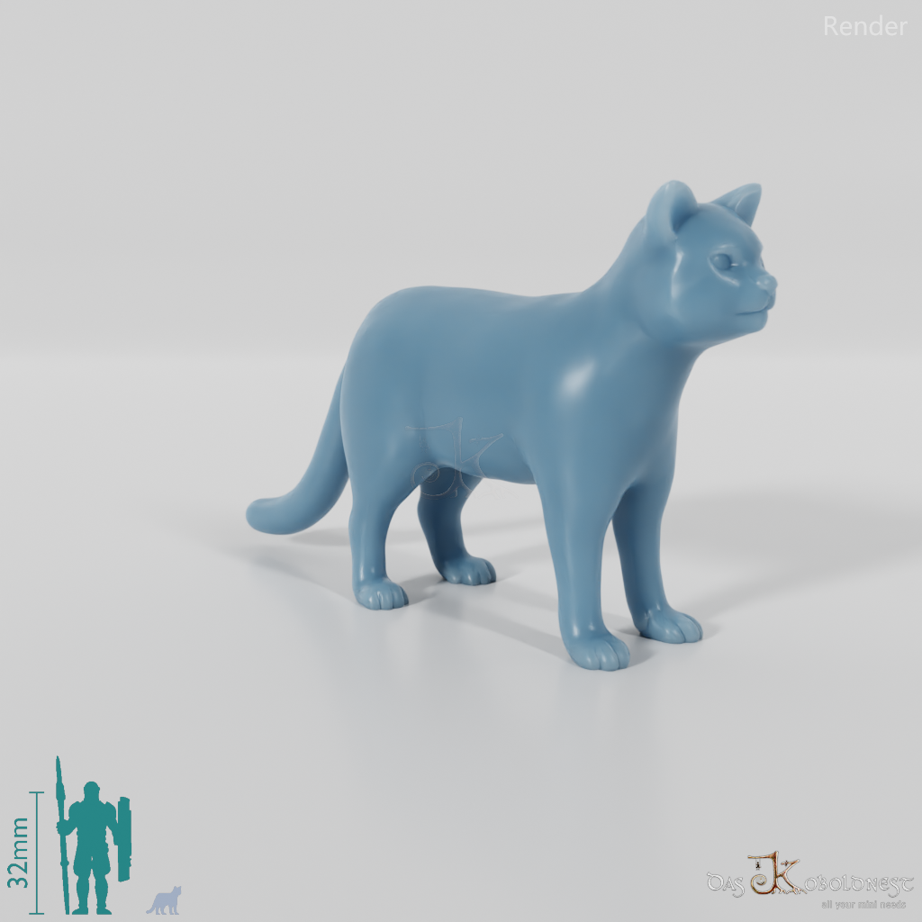 Cat - domestic cat 01