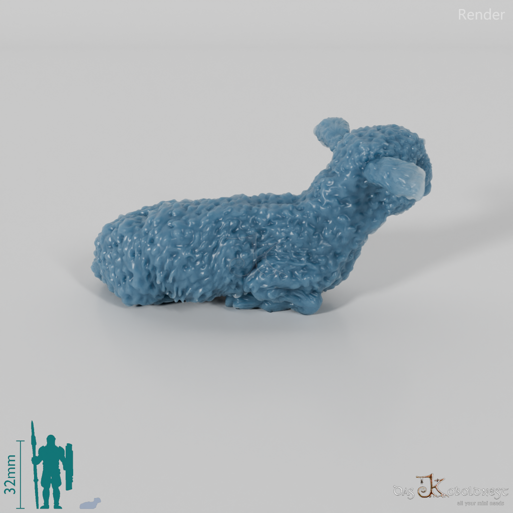 Schaf - Devon and Cornwall Longwool - Lamm 02