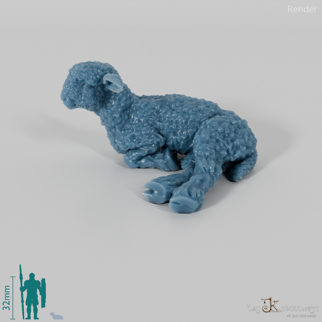 Schaf - Devon and Cornwall Longwool - Lamm 02