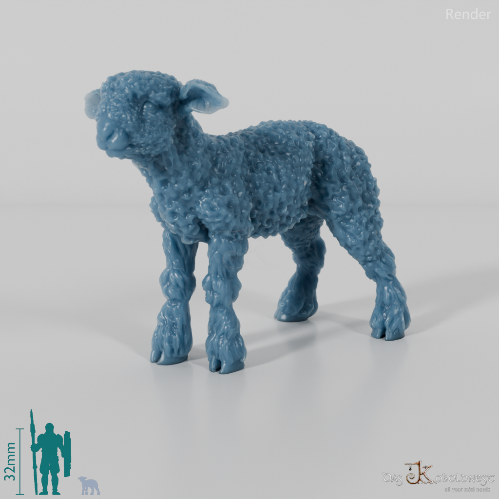 Schaf - Devon and Cornwall Longwool - Lamm 03