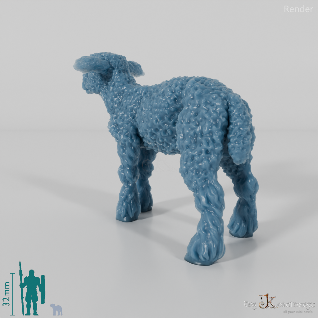 Schaf - Devon and Cornwall Longwool - Lamm 03