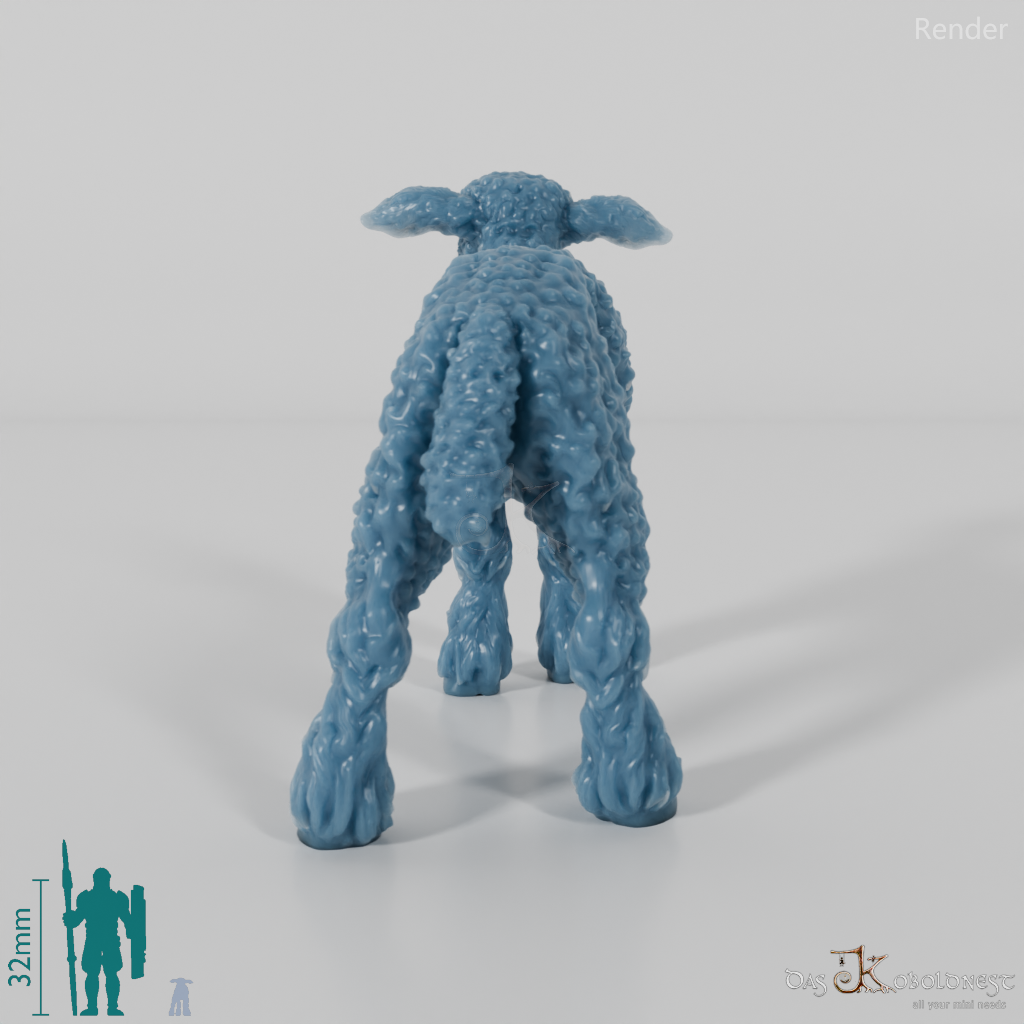 Schaf - Devon and Cornwall Longwool - Lamm 03