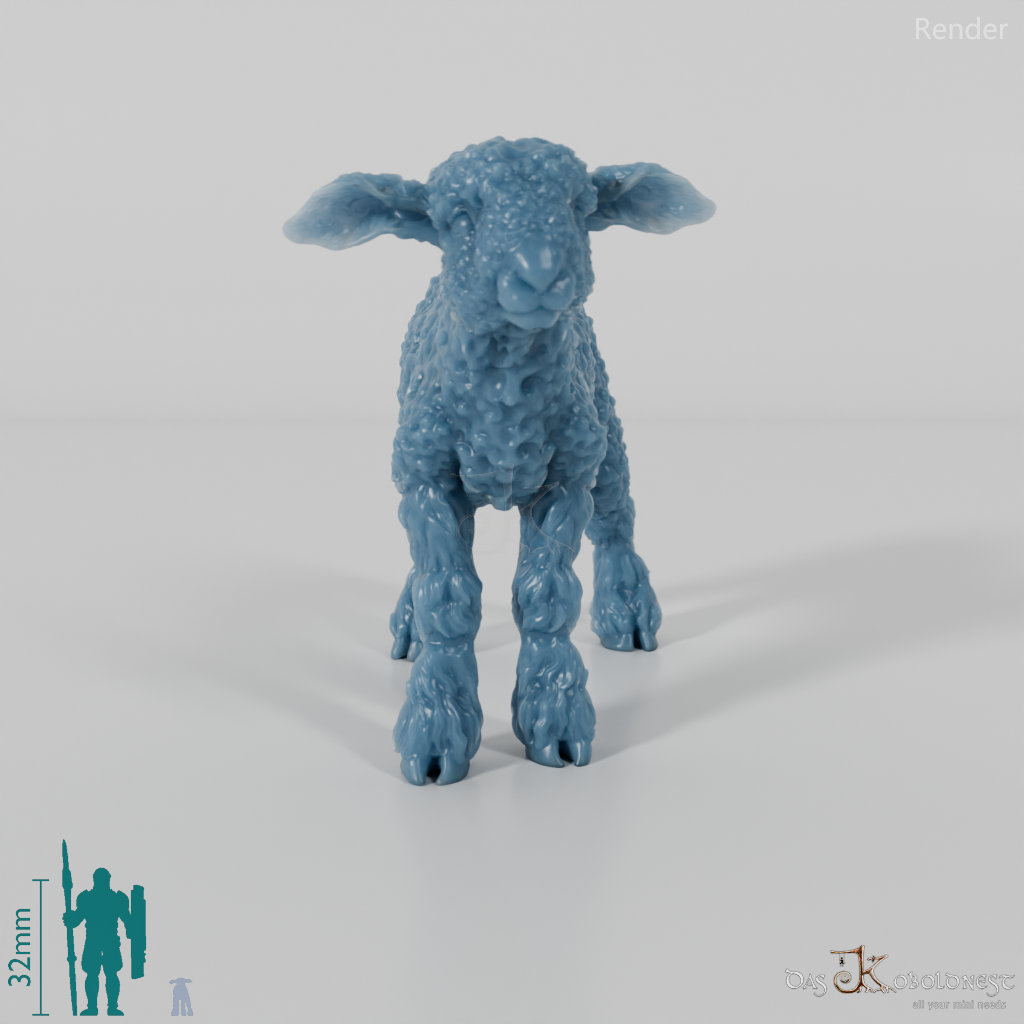 Schaf - Devon and Cornwall Longwool - Lamm 03