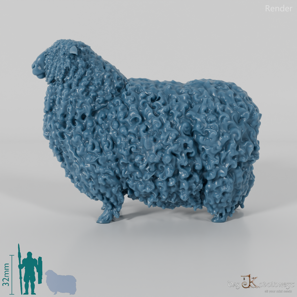 Schaf - Devon and Cornwall Longwool - Bock 01