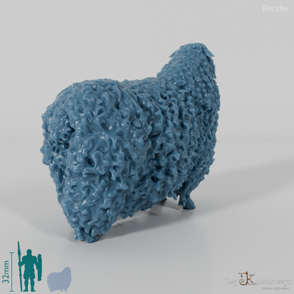 Schaf - Devon and Cornwall Longwool - Bock 01