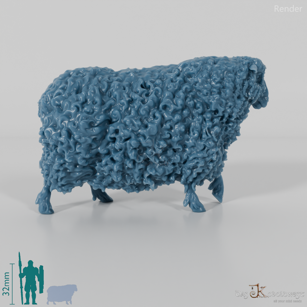 Schaf - Devon and Cornwall Longwool - Schaf 03