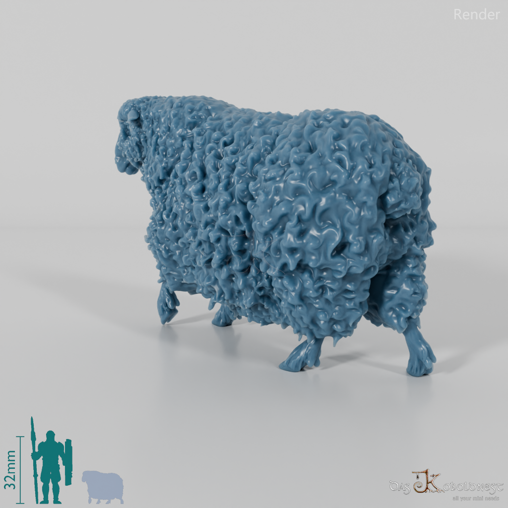 Schaf - Devon and Cornwall Longwool - Schaf 03