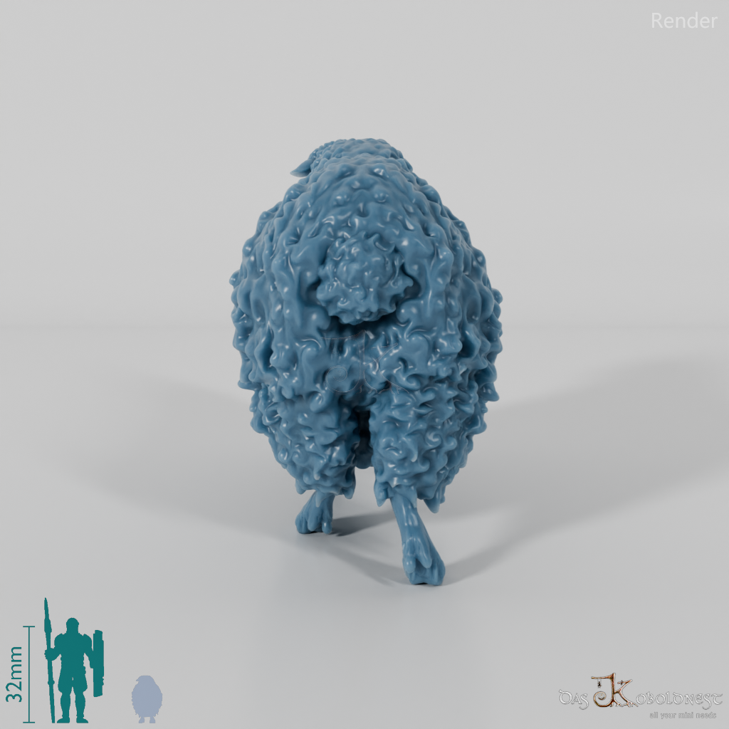 Schaf - Devon and Cornwall Longwool - Schaf 03