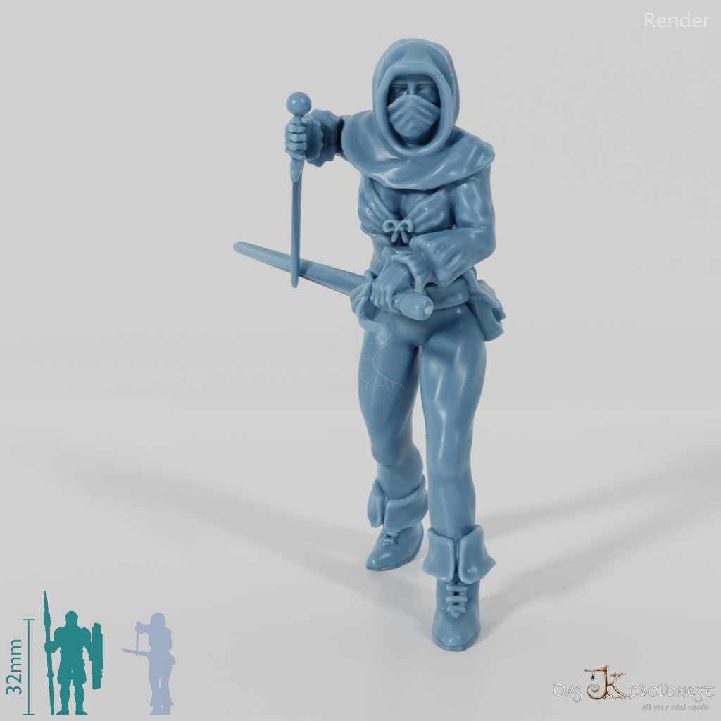 Assassine 01