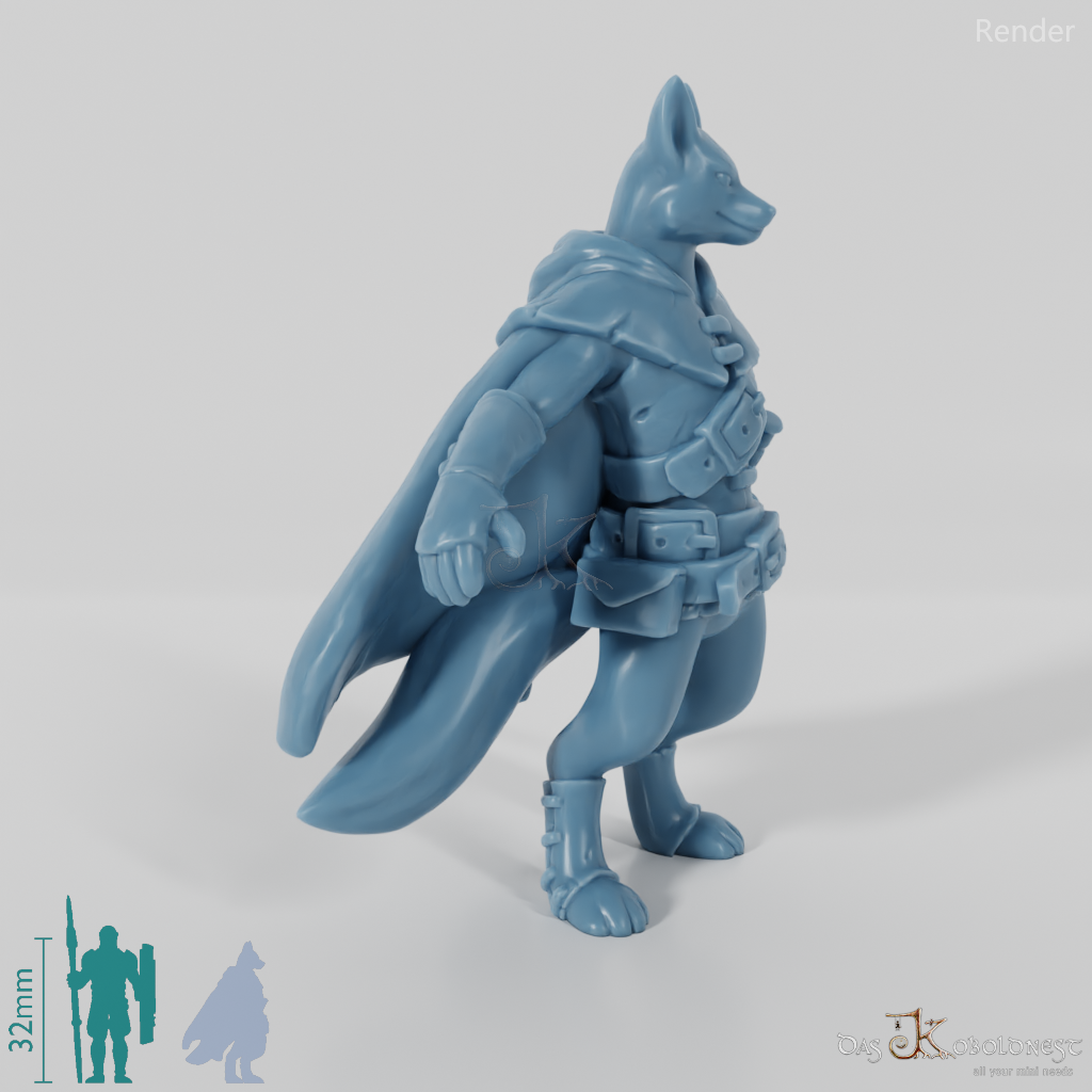 Foxfolk thief