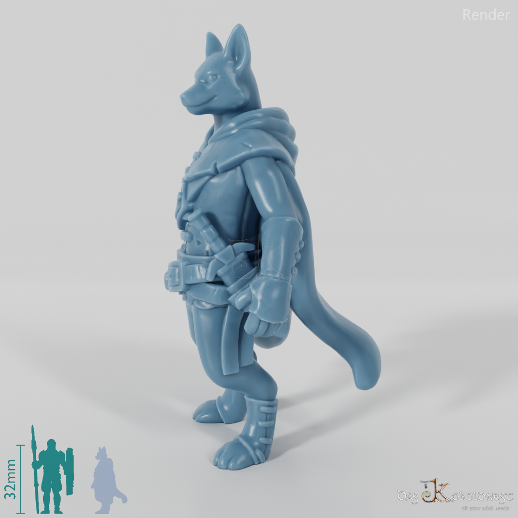 Foxfolk thief