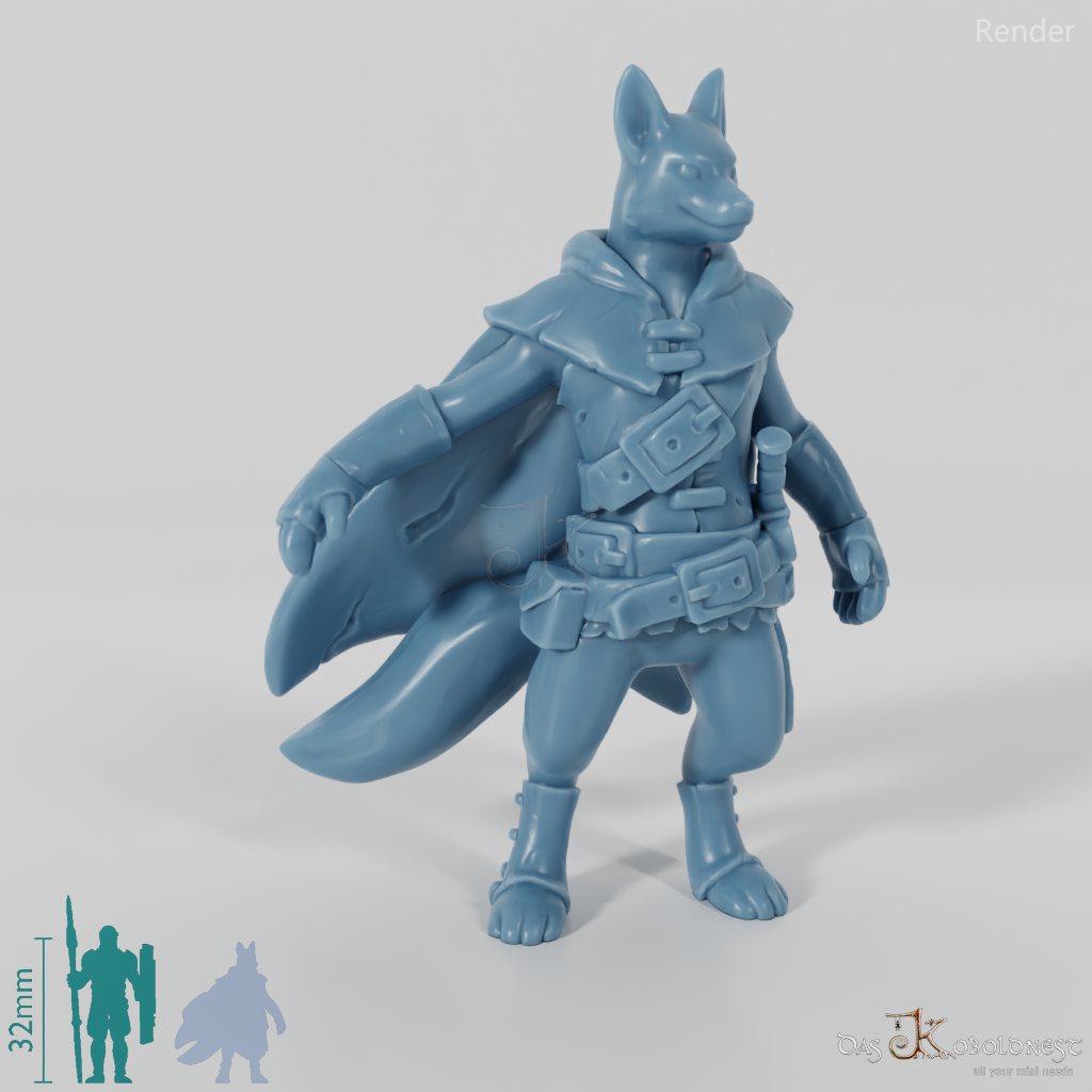 Foxfolk thief
