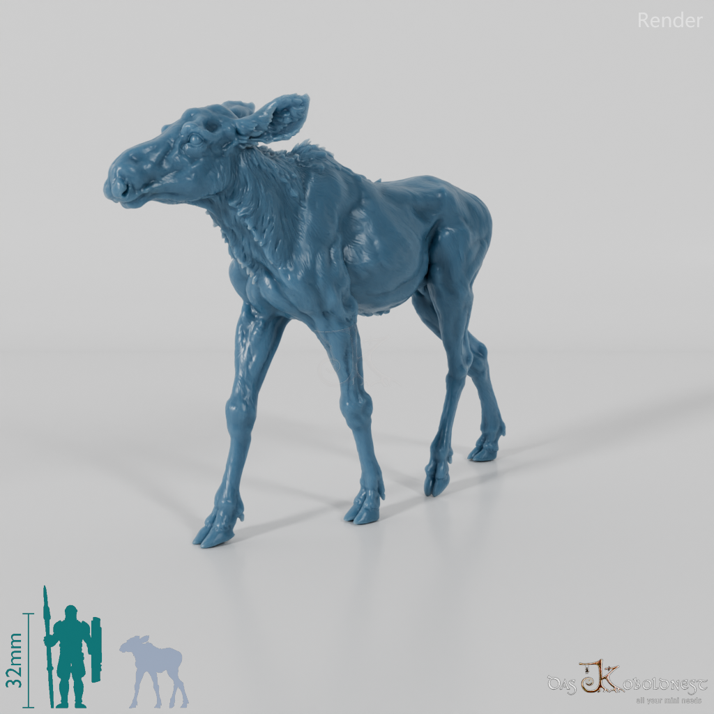 Deer - Elk - Calf 01