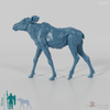 Deer - Elk - Calf 01