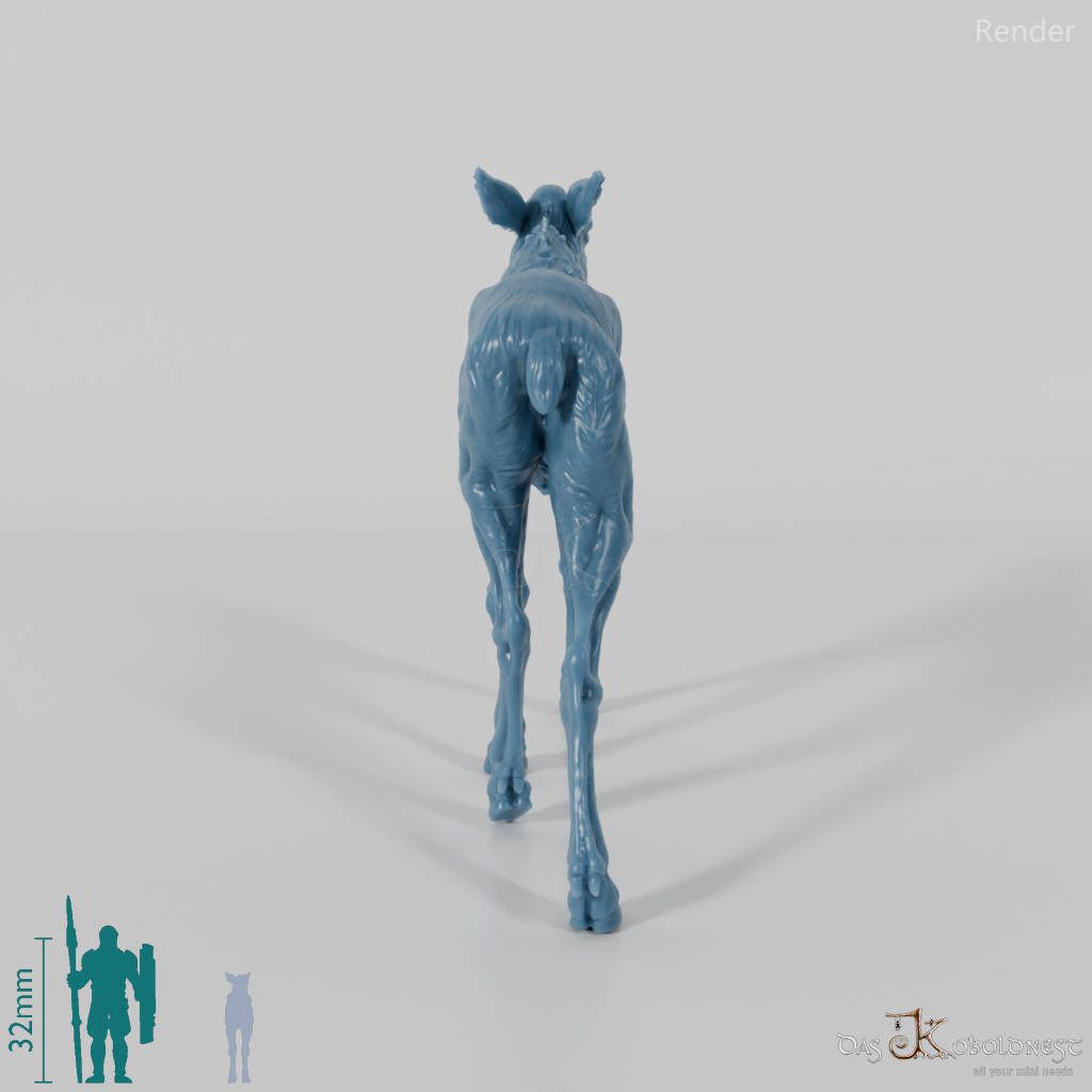 Deer - Elk - Calf 01