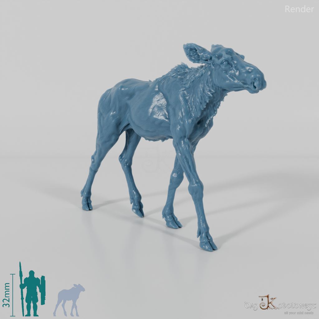 Deer - Elk - Calf 01