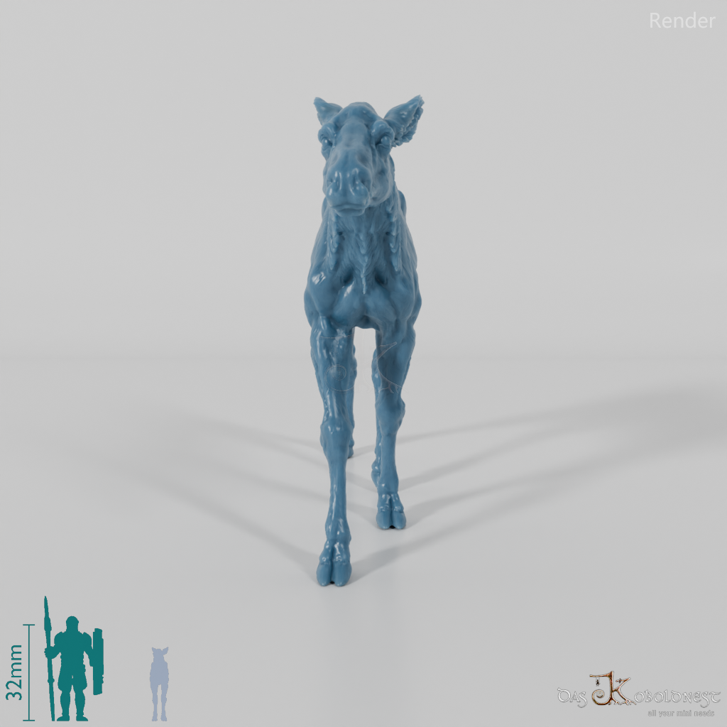 Deer - Elk - Calf 01