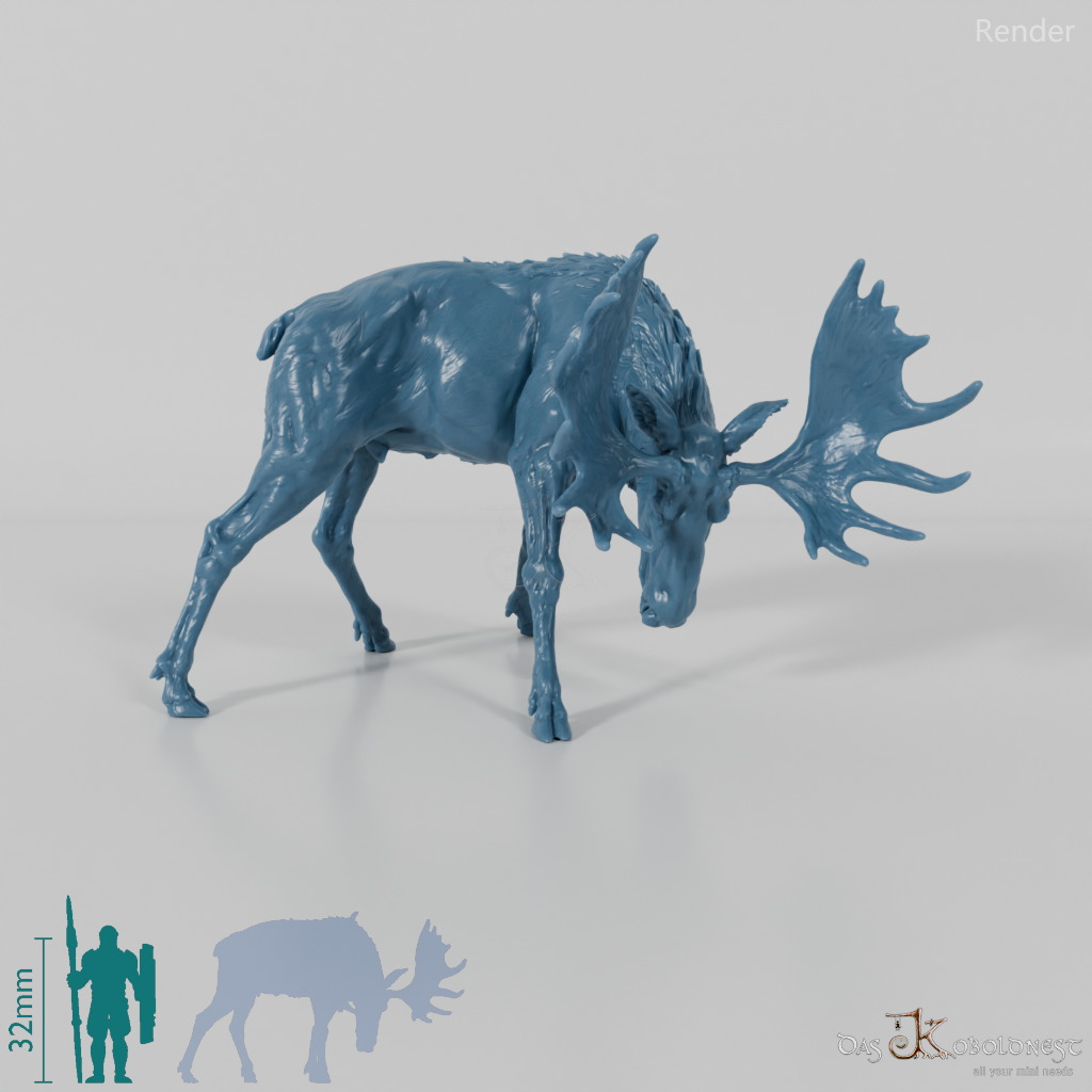 Hirsch - Elch - Bulle 03