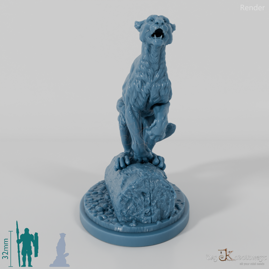 Raubkatze - Puma 01