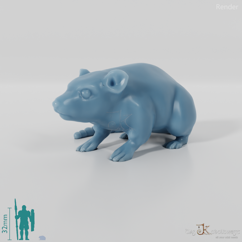 Rodent - Rat 01