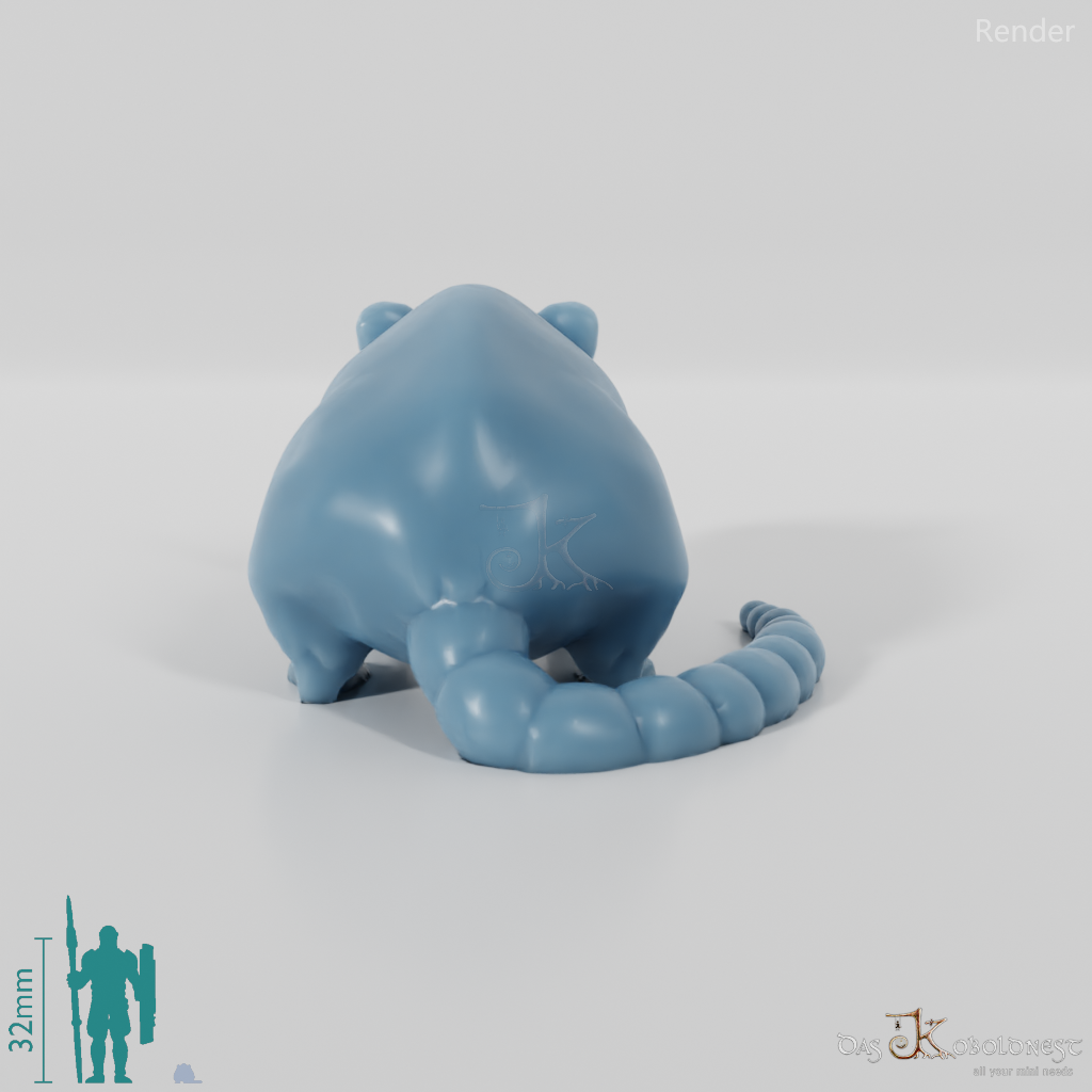 Rodent - Rat 01