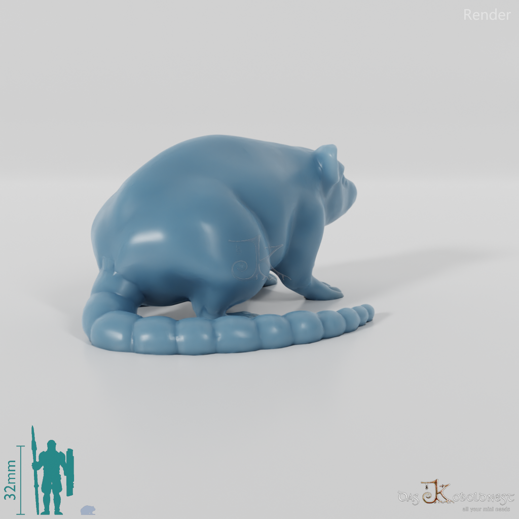 Rodent - Rat 01