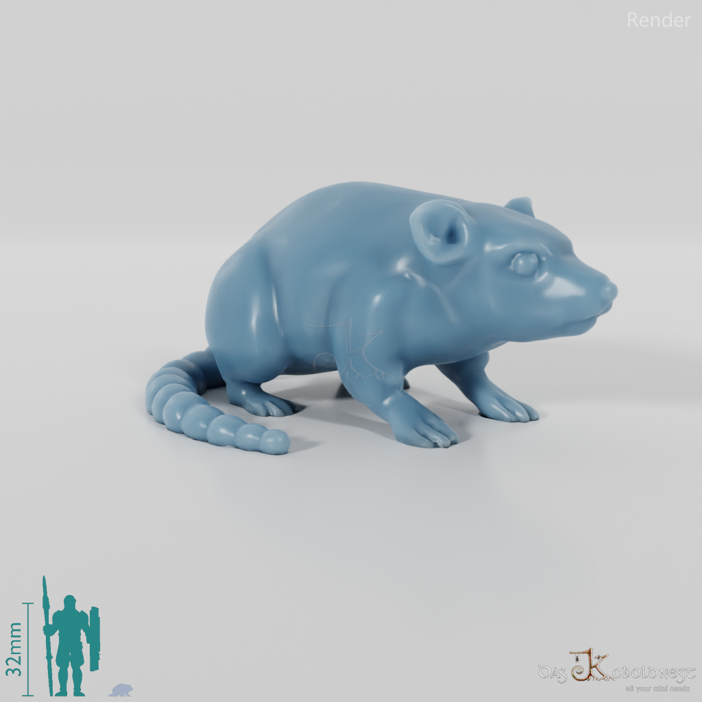Rodent - Rat 01