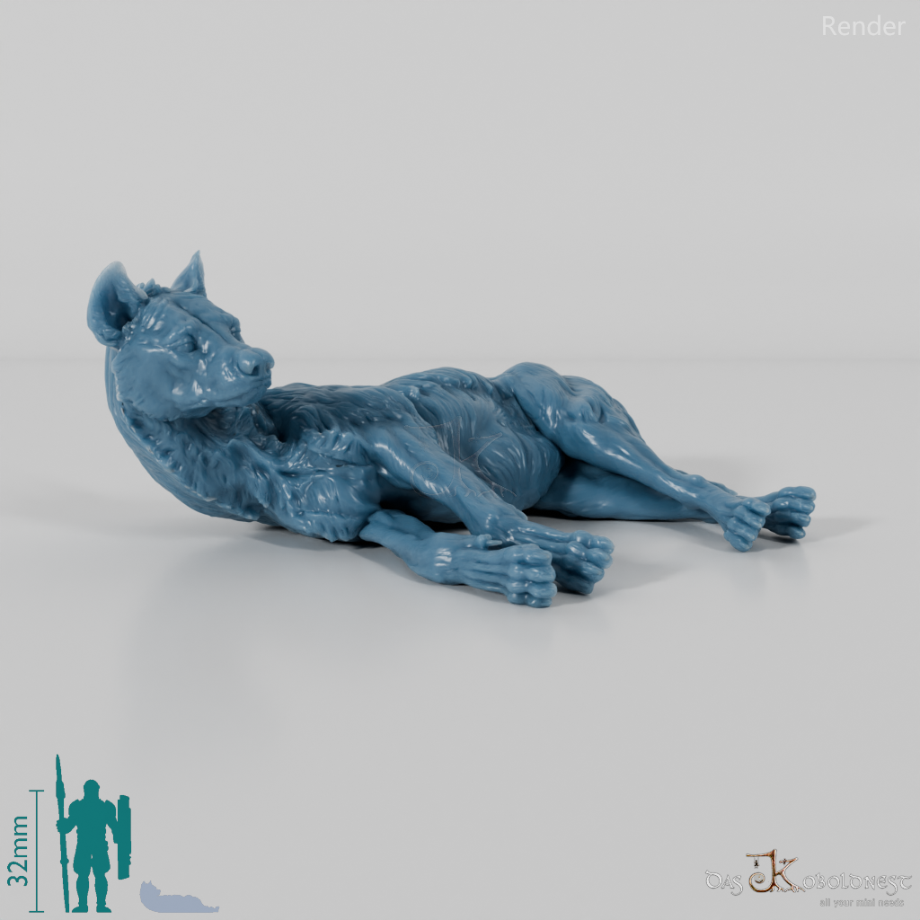 Hyena - Spotted Hyena 04