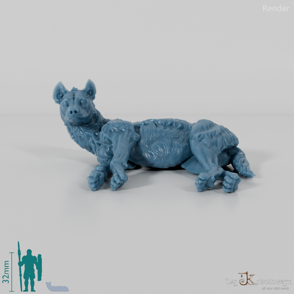 Hyena - Spotted Hyena 04