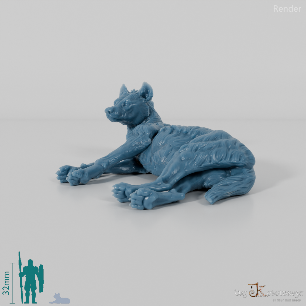 Hyena - Spotted Hyena 04