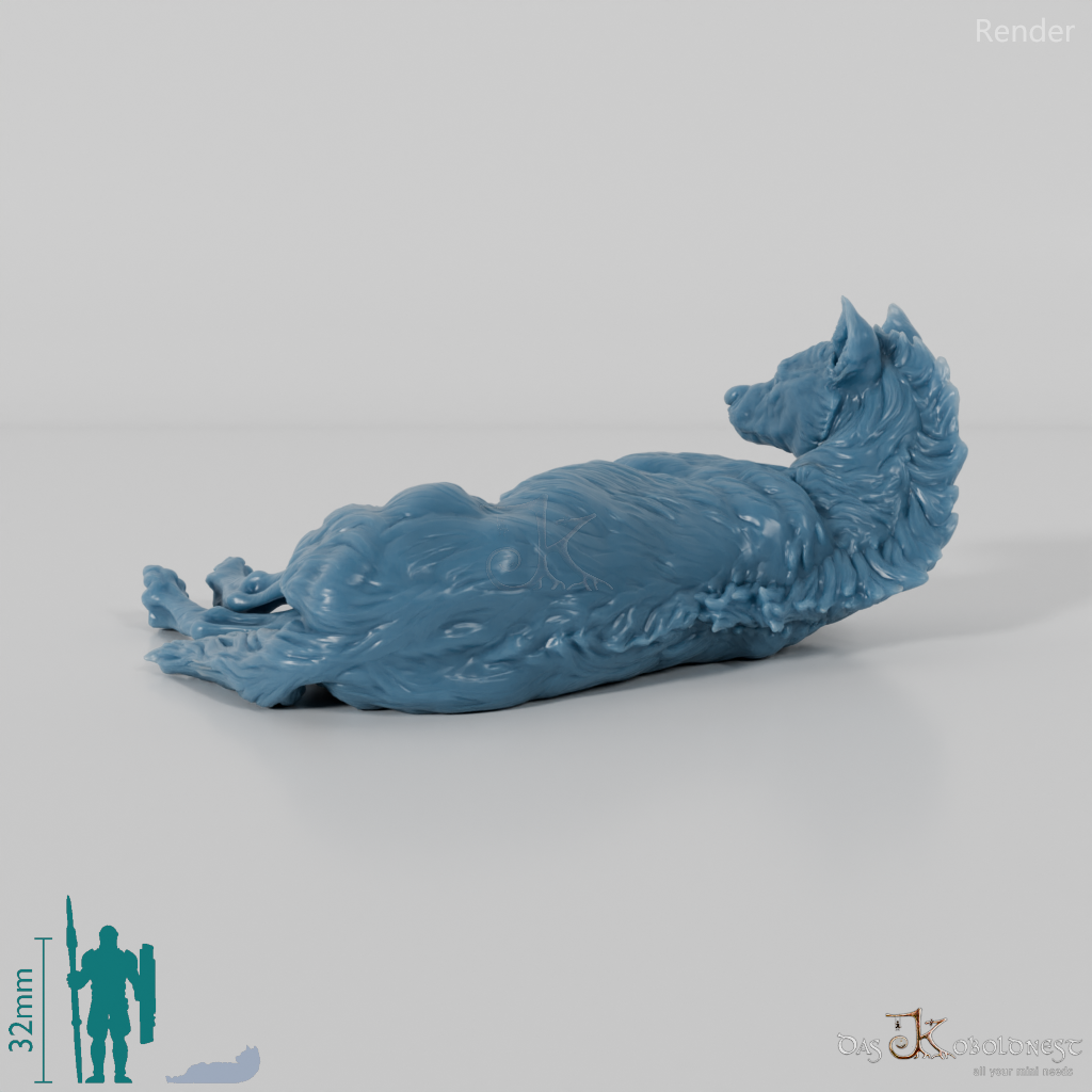 Hyena - Spotted Hyena 04