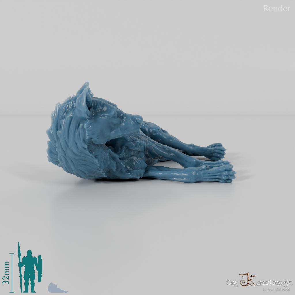 Hyena - Spotted Hyena 04