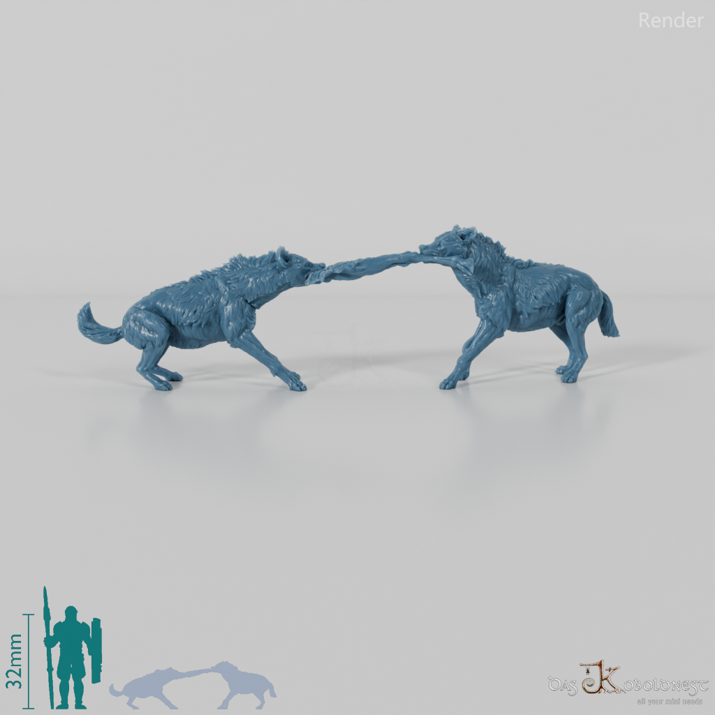 Hyena - Fighting spotted hyenas