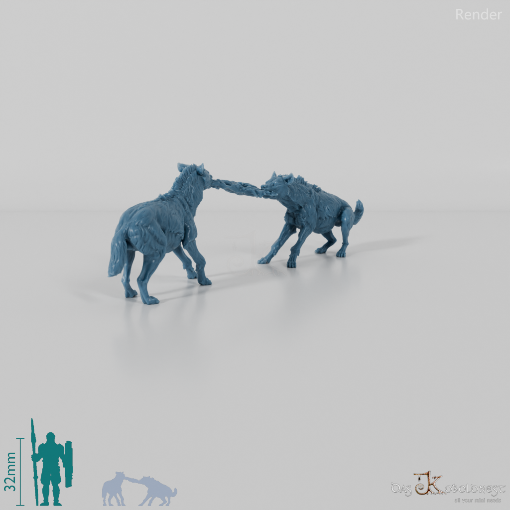 Hyena - Fighting spotted hyenas