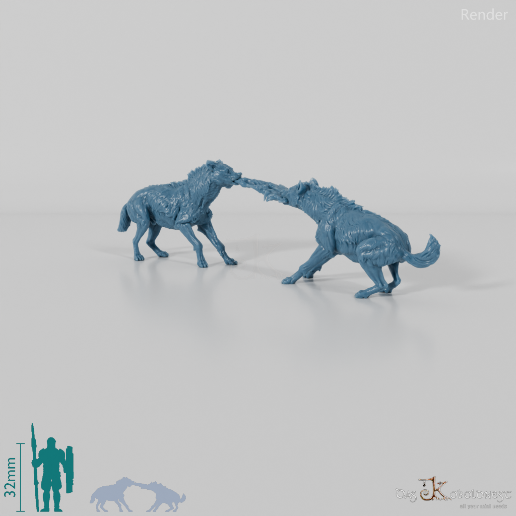 Hyena - Fighting spotted hyenas