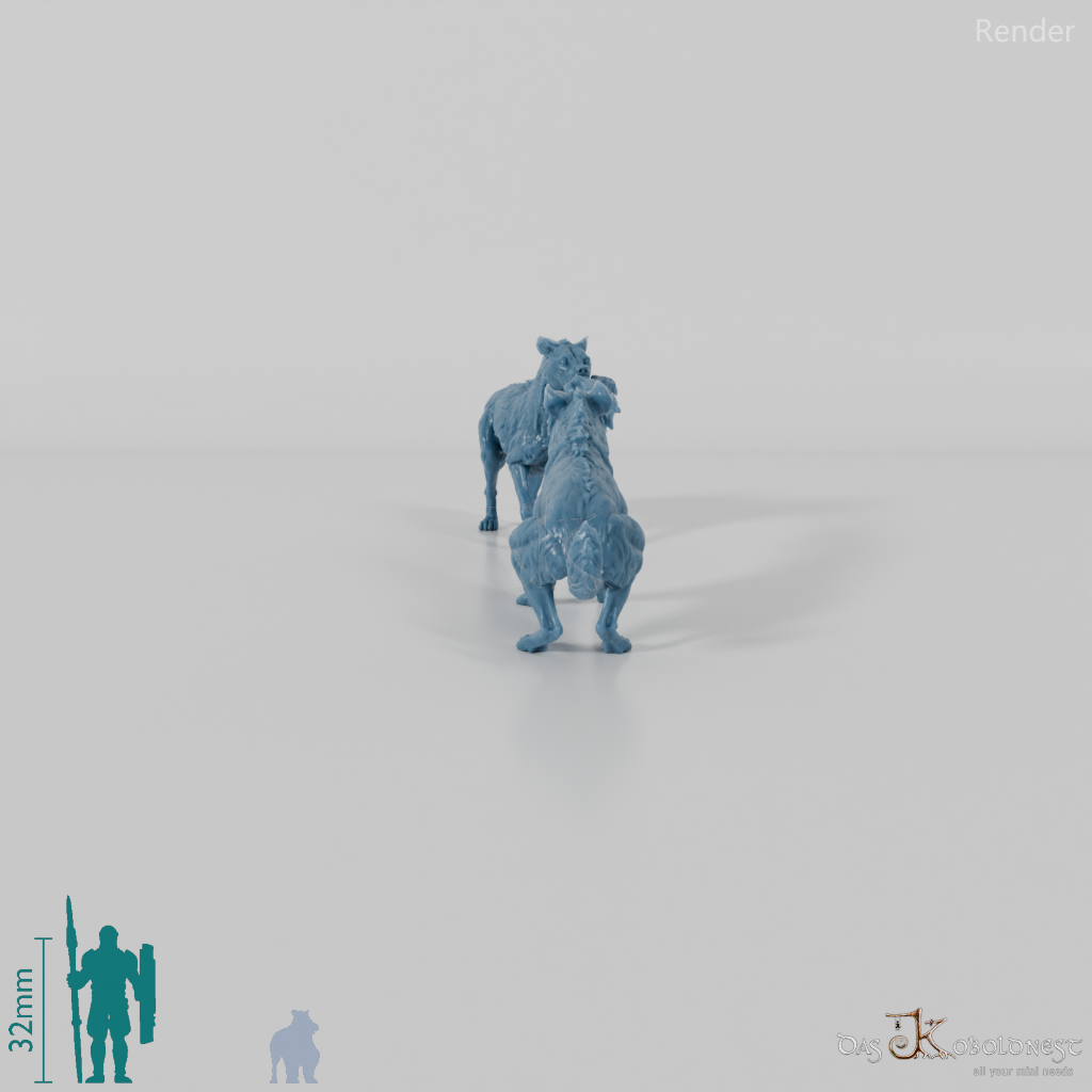 Hyena - Fighting spotted hyenas