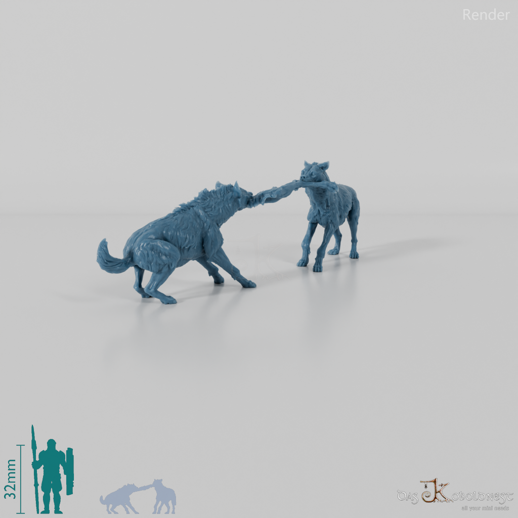 Hyena - Fighting spotted hyenas