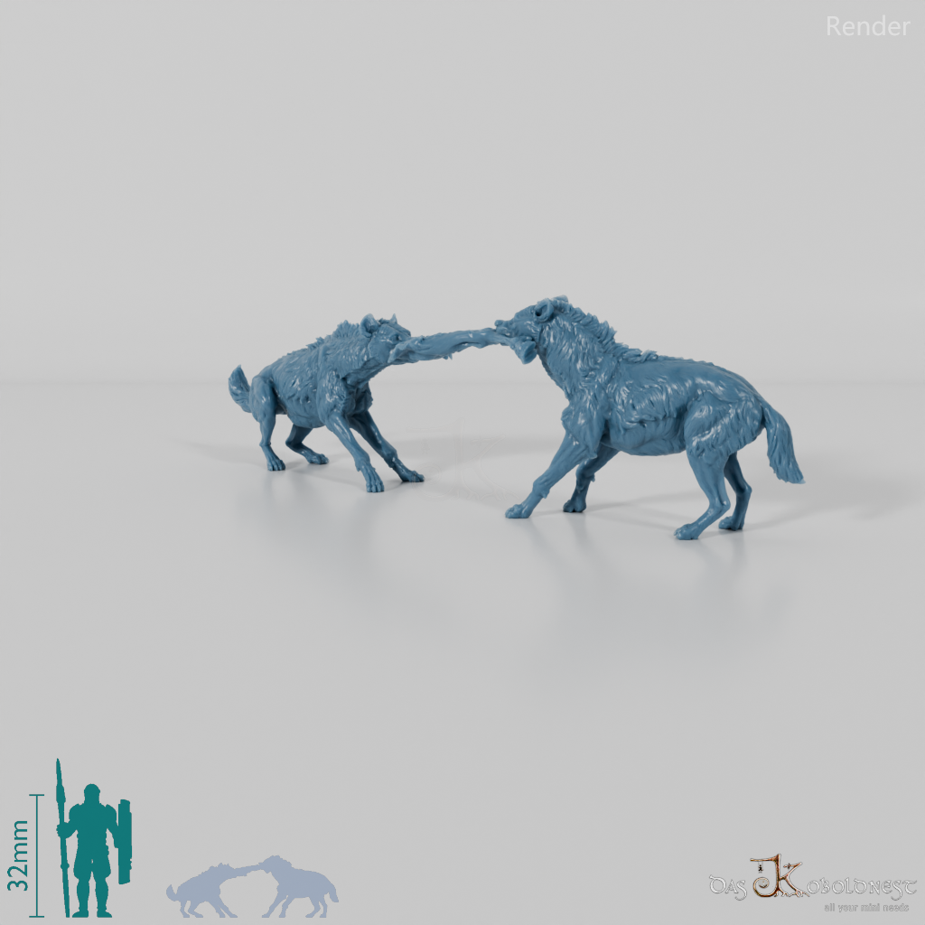 Hyena - Fighting spotted hyenas