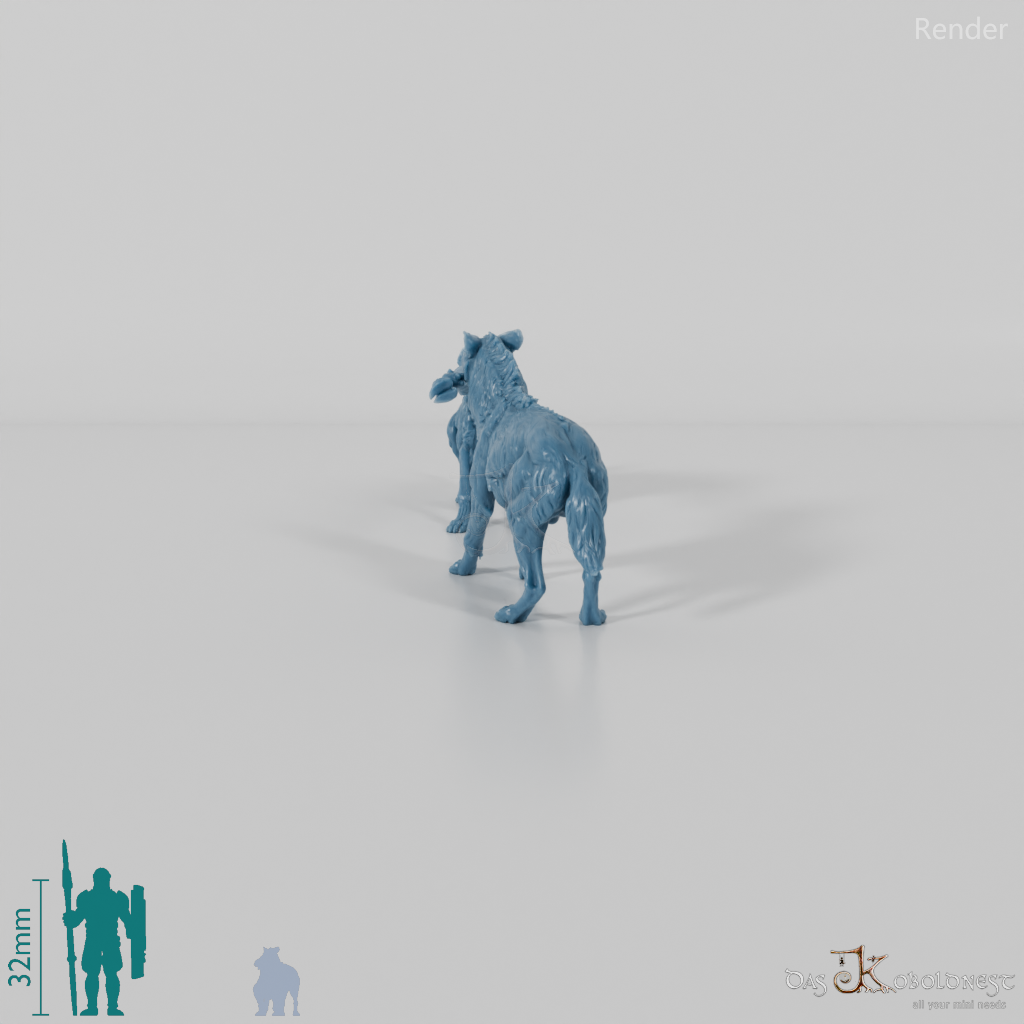 Hyena - Fighting spotted hyenas