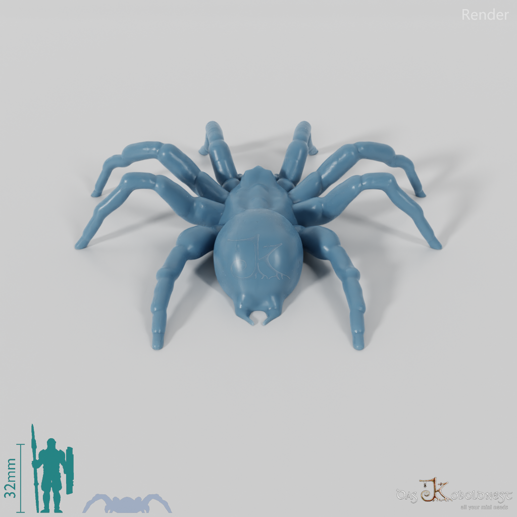 Spider - Giant Tarantula 01