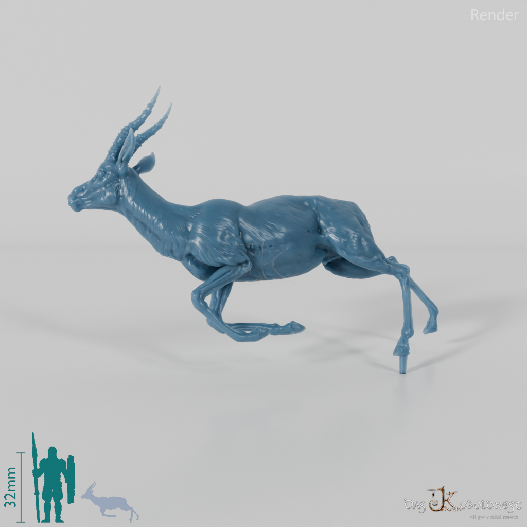 Antilope - Thomson-Gazelle 01