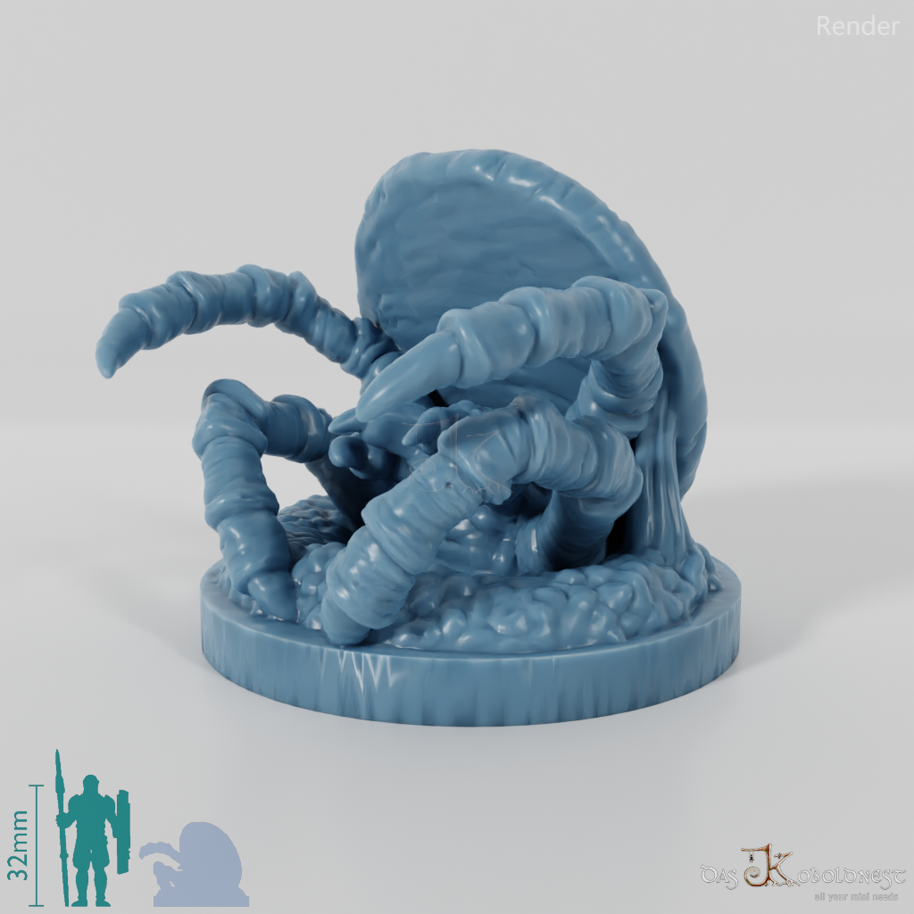 Spider - Giant Trapdoor Spider