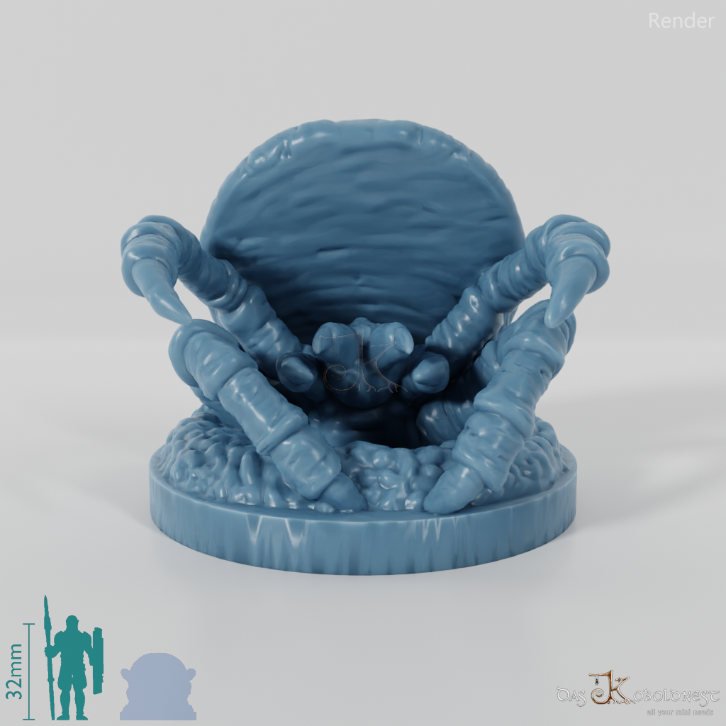Spider - Giant Trapdoor Spider