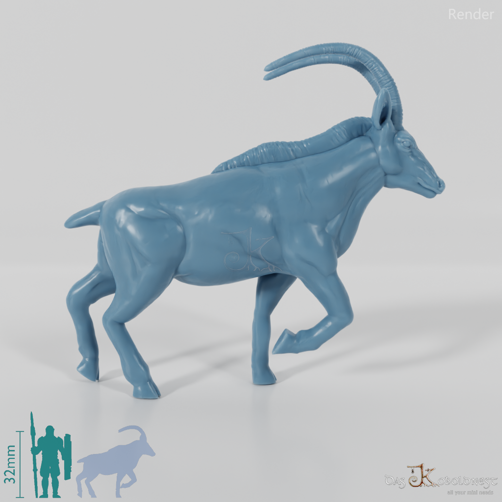 Antilope - Oryx 01