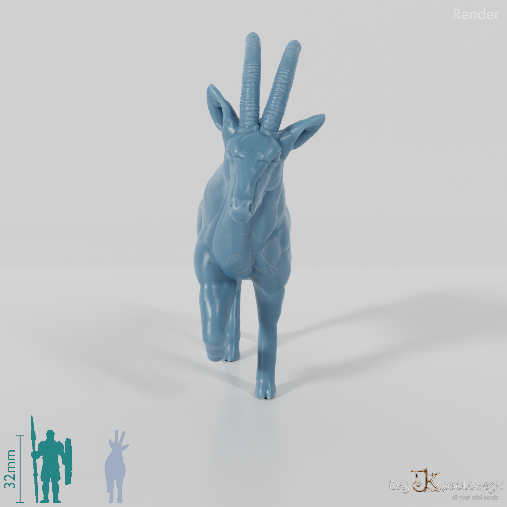 Antilope - Oryx 01