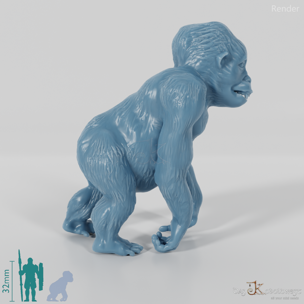 Gigantopithecus blacki 06 (juvenile) - JJP