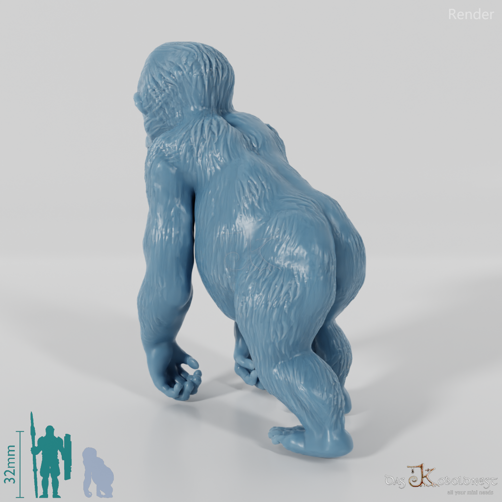 Gigantopithecus blacki 06 (juvenile) - JJP