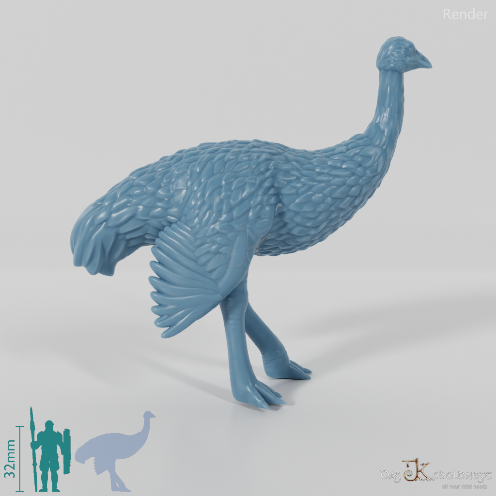 Ratite - Ostrich 02